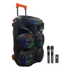 TTD-8804 60W 4x8" Безжична колона+2 Безжични микрофона