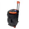 TTD-8804 60W 4x8" Безжична колона+2 Безжични микрофона