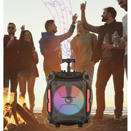 ZQS12110 Портативна Караоке 30W 12'' тонколона Sing-e+жичен микрофон