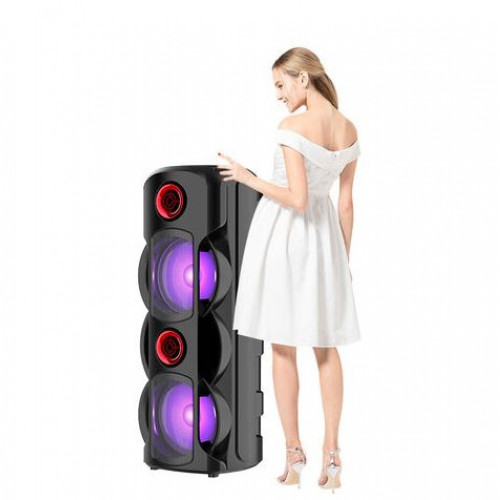 ZQS8225 Портативна Двойна Караоке 8'' Sing-e 30W тонколона+жичен микрофон